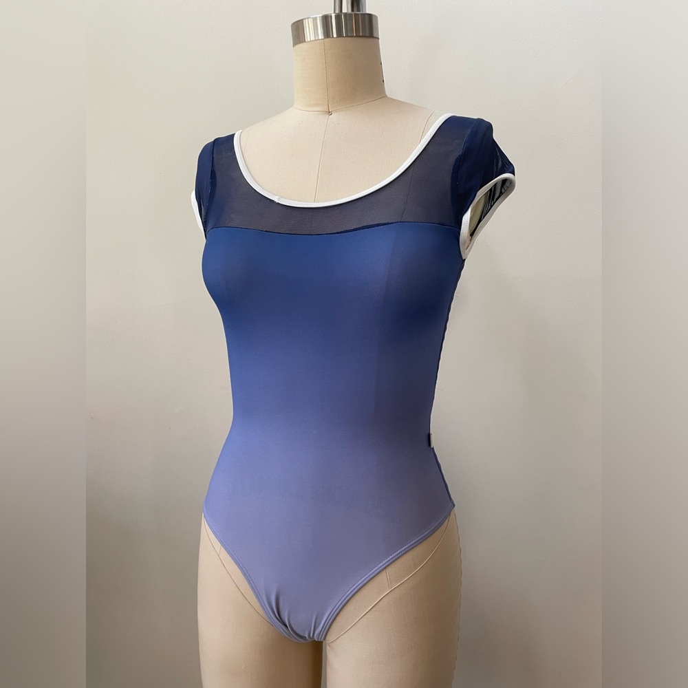 Blue Ombré Leotard Size Small